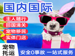 静巴机场邮寄国际宠物托运 【国